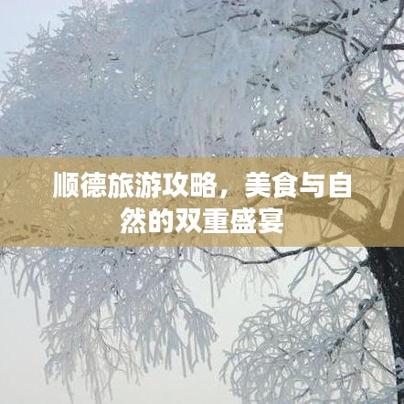 顺德旅游攻略,美食与自然的双重盛宴