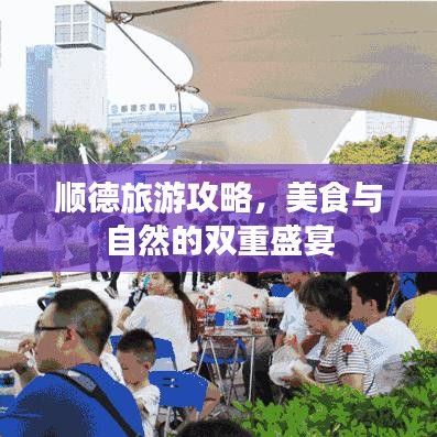 顺德旅游攻略,美食与自然的双重盛宴
