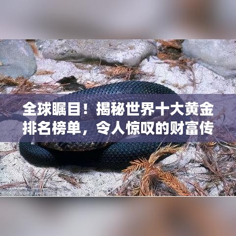 全球瞩目!揭秘世界十大黄金排名榜单,令人惊叹的财富传奇!