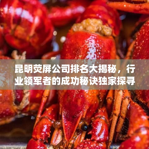 昆明荧屏公司排名大揭秘，行业领军者的成功秘诀独家探寻