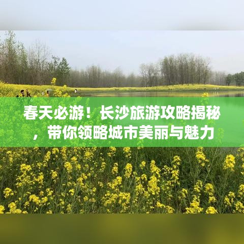 春天必游！长沙旅游攻略揭秘，带你领略城市美丽与魅力