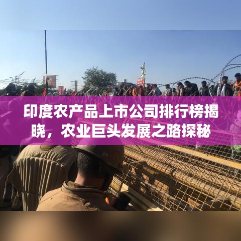 印度农产品上市公司排行榜揭晓，农业巨头发展之路探秘