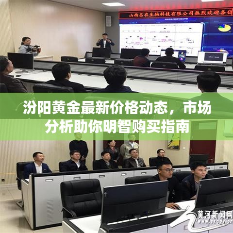 汾阳黄金最新价格动态,市场分析助你明智购买指南
