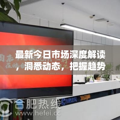 最新今日市场深度解读，洞悉动态，把握趋势