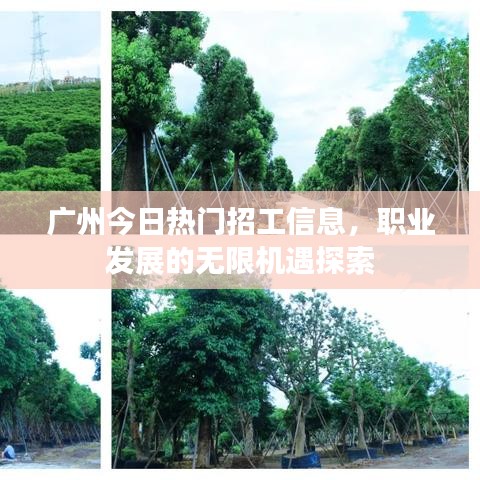 广州今日热门招工信息，职业发展的无限机遇探索