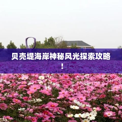 贝壳堤海岸神秘风光探索攻略！