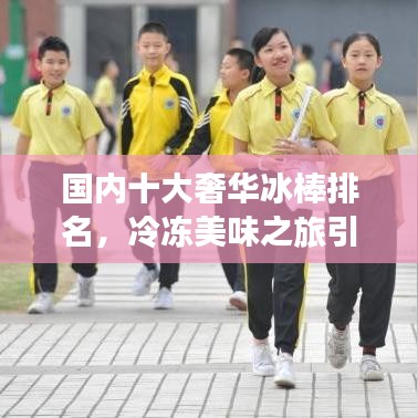 国内十大奢华冰棒排名,冷冻美味之旅引领味蕾盛宴