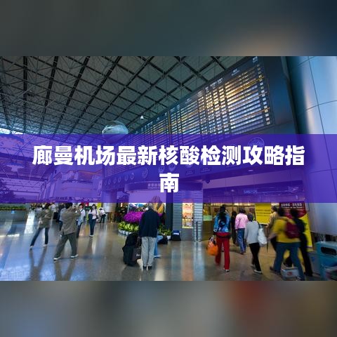 廊曼机场最新核酸检测攻略指南