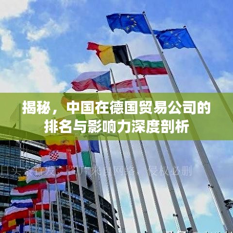 揭秘，中国在德国贸易公司的排名与影响力深度剖析