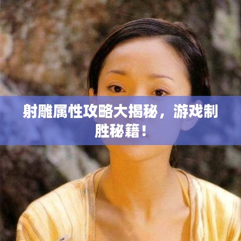 射雕属性攻略大揭秘，游戏制胜秘籍！