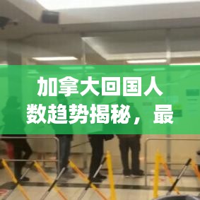 加拿大回国人数趋势揭秘，最新分析与观察报告