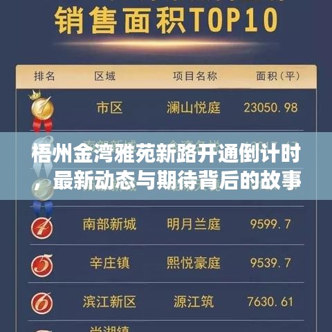 梧州金湾雅苑新路开通倒计时，最新动态与期待背后的故事解读
