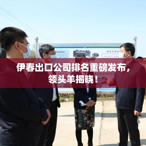 伊春出口公司排名重磅发布，领头羊揭晓！