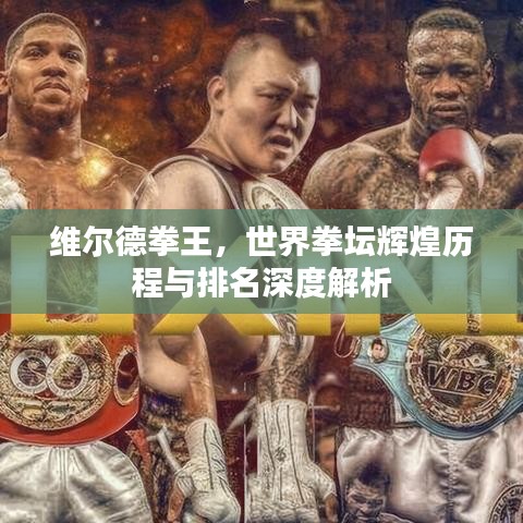 维尔德拳王,世界拳坛辉煌历程与排名深度解析