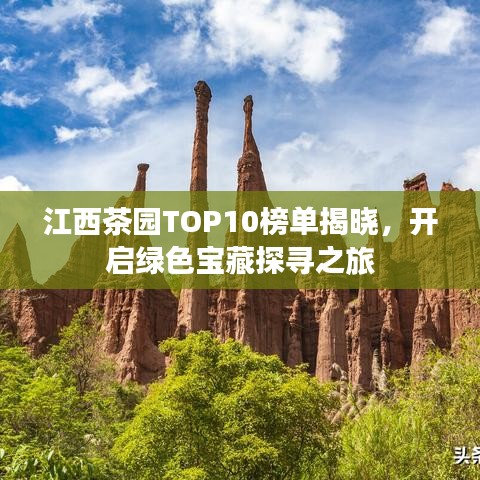 江西茶园TOP10榜单揭晓，开启绿色宝藏探寻之旅