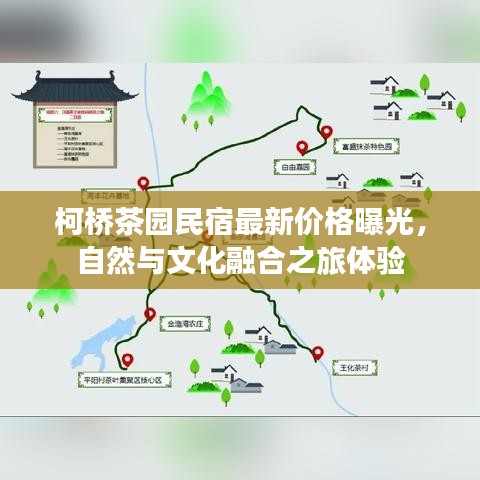柯桥茶园民宿最新价格曝光，自然与文化融合之旅体验