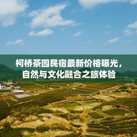 柯桥茶园民宿最新价格曝光,自然与文化融合之旅体验