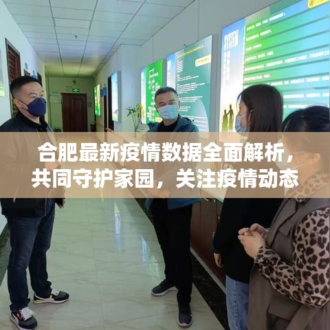 合肥最新疫情数据全面解析，共同守护家园，关注疫情动态表格