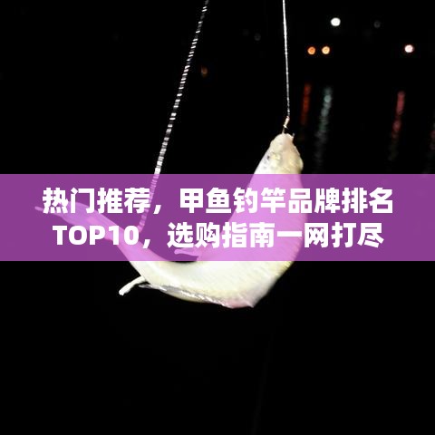 热门推荐，甲鱼钓竿品牌排名TOP10，选购指南一网打尽！