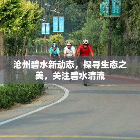 沧州碧水新动态，探寻生态之美，关注碧水清流